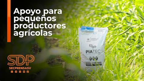 Más de medio millón de pequeños productores recibirán paquetes