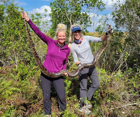 Guided Python Hunts | Python Hunter | Python Huntress | Amy Siewe