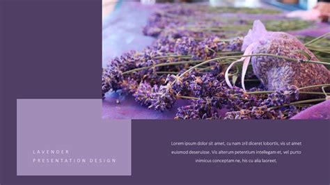 Lavender Presentation PowerPoint Templates Design|Lifestyle