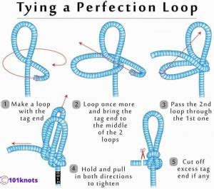 Best Knot For Dog Leash: A Quick Guide