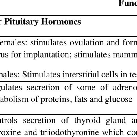 Different Hormones Released From Pituitary Gland Structure And Their