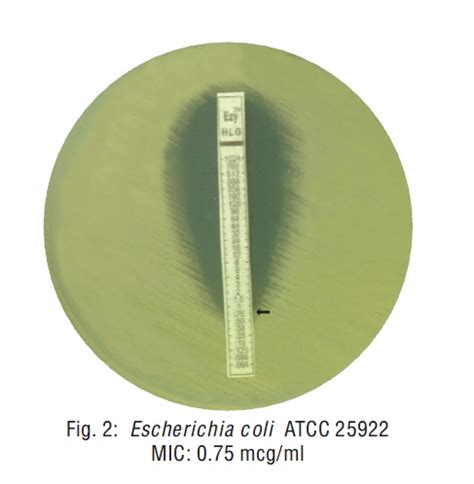 RIDACOM Comprehensive Bioscience Supplier Levofloxacin