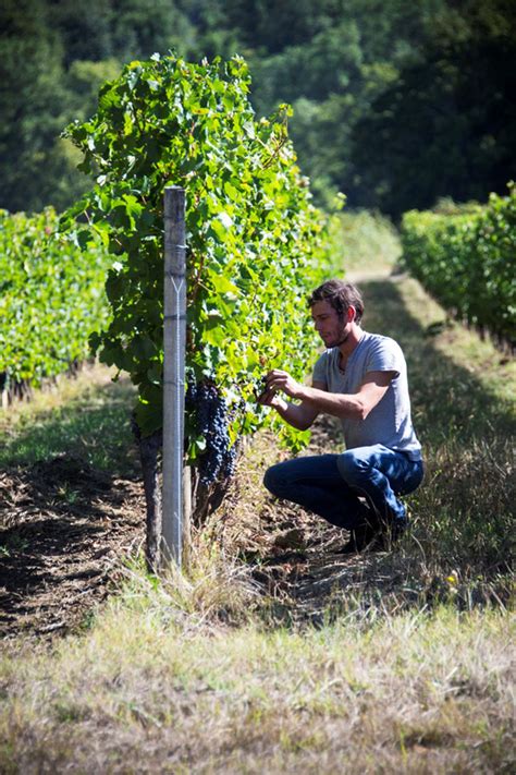 Charente Maritime Tout Savoir Sur La E Dition Du Salon Du Vin Bio