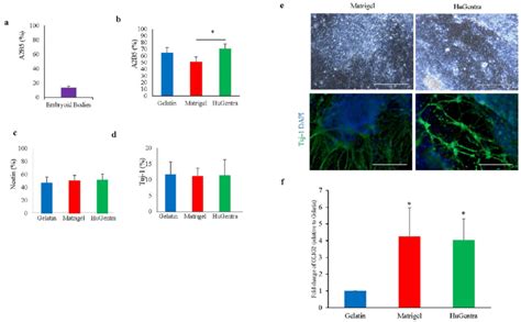 Characterization Of Hipsc Derived Neurons On Matrices A The