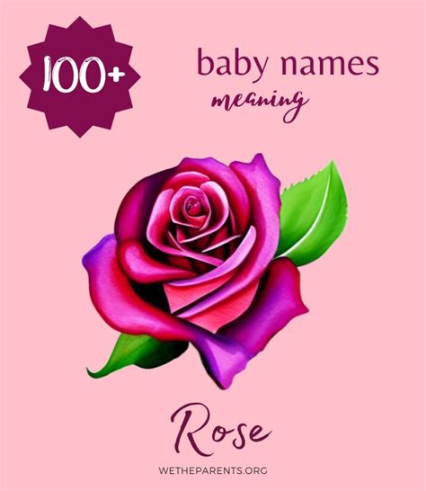 100+ Names Meaning Rose (For Girls) - WeTheParents