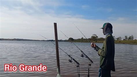 Pescaria De Piau U Os Brutos Chegaram Na Ceva Rio Grande Miraestrela Sp