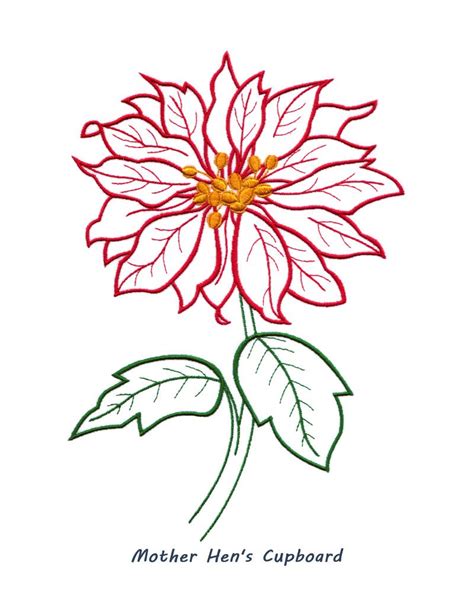 Poinsettia Drawing Outline at PaintingValley.com | Explore collection ...