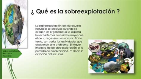 Sobreexplotación De Los Recursos Naturales