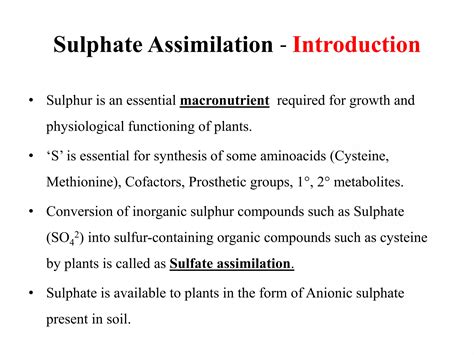 Sulfate Assimilation Ppt