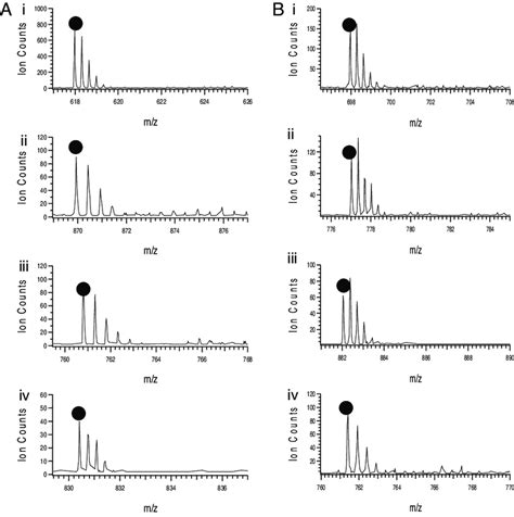 A Representative Ms Spectra Of Tryptic Peptides Matched To The Four Download Scientific