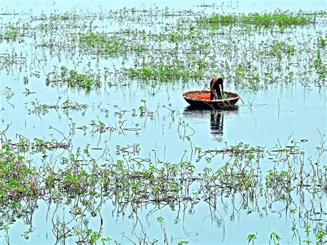 Our Wetlands Worth Billions