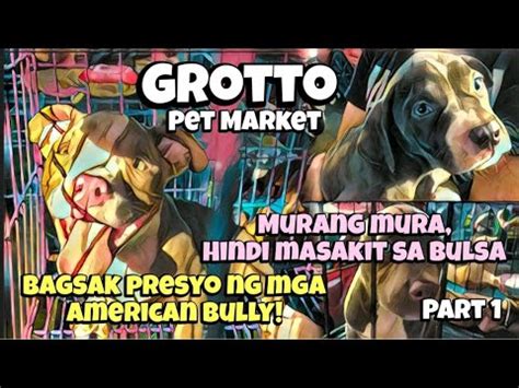 Grotto Pet Market Part 1 November 20 2022 San Jose Del Monte