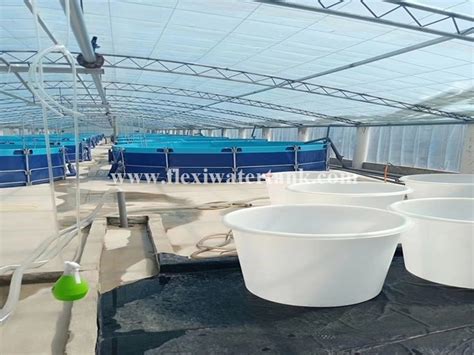 RAS Indoor Fish Shrimp Farming Equipment Recirculating Aquaculture ...