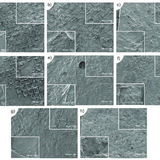 scanning electron microscopy sem images   surface