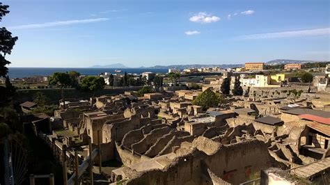 Ercolano Straordinaria Scoperta Di Neuroni Nel Cervello Vetrificato Di