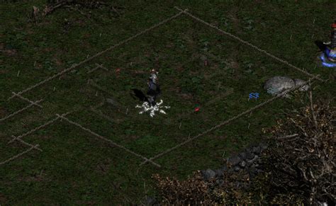 Act 1 Quest 2 Sisters Burial Grounds Diablo 2