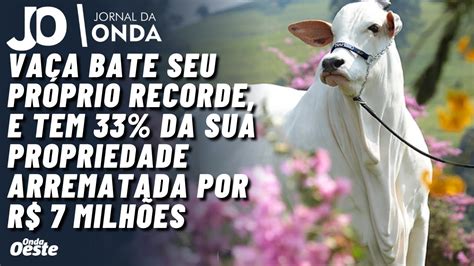 Vaca Mais Cara Do Mundo Avaliada Em R Milh Es Arrematada Em