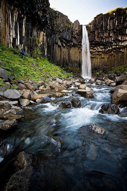 Svartifoss the Black Fall Skaftafell Vatnajökull National Park