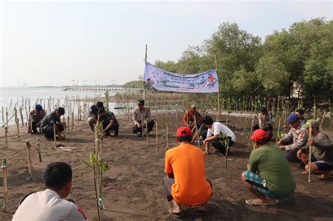 Lestarikan Kawasan Pesisir Polres Cirebon Kota Tanam Pohon Mangrove