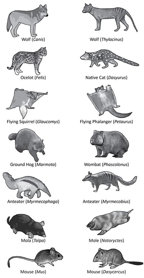 Biogeography