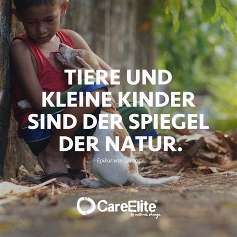 Tierschutz Zitate 58 Sprüche Gegen Tierquälerei • Careelite