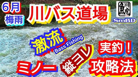 Yasu 6月川バス実釣攻略【バス釣り】スモールマウスバス激流ドリフトミノーパターン2022年6月