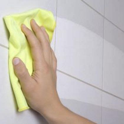 How To Remove Mildew From Shower Tile Grout Hunker Shower Cleaner