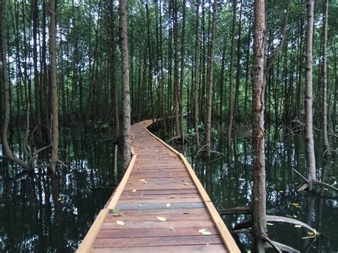 Mengisi Liburan Di Taman Nasional Kutai Ditjen Konservasi Sumber Daya