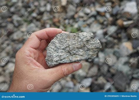 Raw Specimen Of Granite Igneous Rock Stone On Geologist S Hand Stock