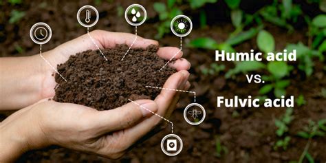 Why Humic Acid Or Humic Acids Is Important Saint Humic Acid