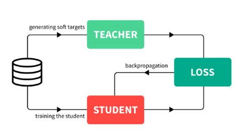 How Knowledge Distillation Compresses Neural Networks Techio