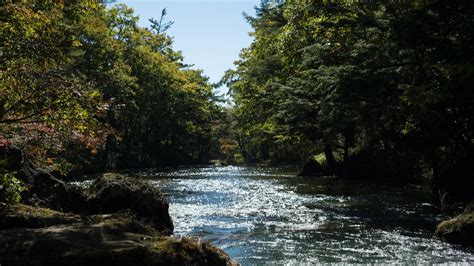 How Many Countries Share The Nile River - Aboutriver.com