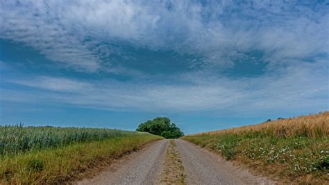 Auf Dem E1 Von Neustadt Nach Bad Schwartau Via Lupo