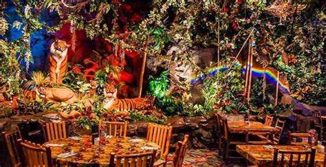 Rainforest Cafe Chicago - Food, Activities, Inside Views & More