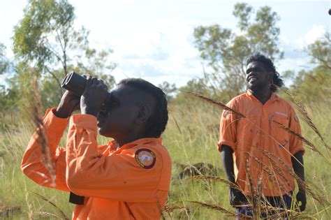 Working on Country includes saving endangered species | Indigenous