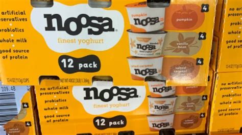 Costco Shoppers Have Mixed Feelings About Noosa's Fall Yogurt Flavors