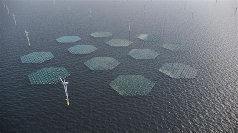 Solarduck Will Build Largest Offshore Floating Solar Plant Together