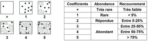 Cours 1 2 Étude statistique de la répartition des organismes AlloSchool