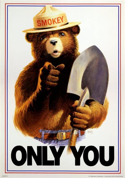 The Story Of Smokey The Bear And How Only You Could Prevent Forest