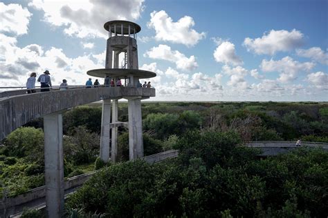 Everglades National Park: Where birds, reptiles and mammals coexist ...