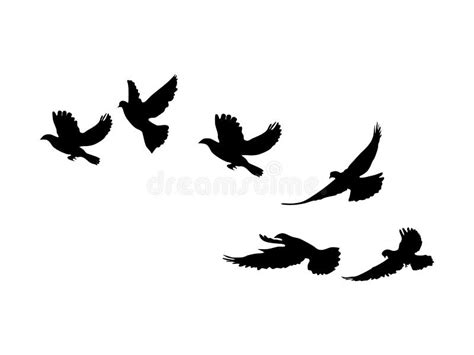 Silhouette Flock Of Flying Birds Flying Birds On White Background