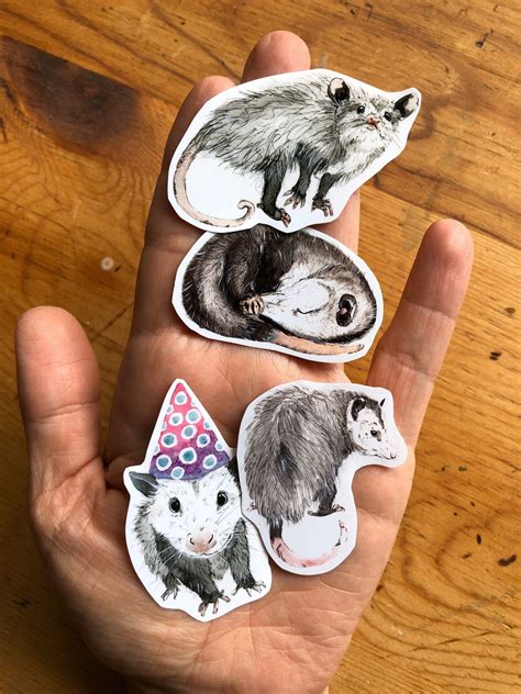 Sticker Pack 4 Stickers Possum Opossum Planner Craft Vinyl Etsy