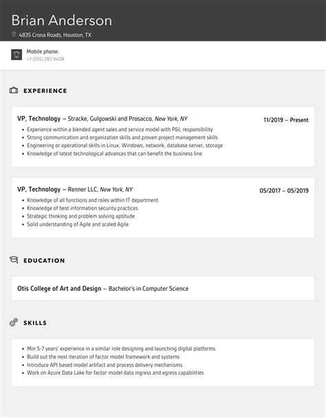 Vp Technology Resume Samples Velvet Jobs