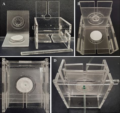 Miniaturized Microscale Solid Phase Extraction Based Module For Highly