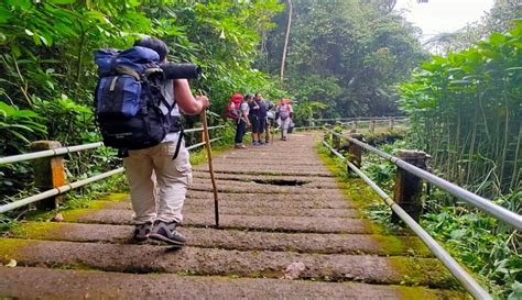 Ditutup Selama 4 Pekan Jalur Pendakian Gunung Gede Pangrango Kembali