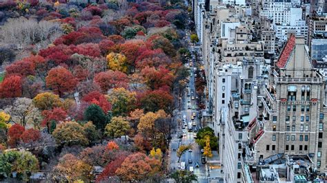 Central Park in New York in Fall · Free Stock Photo