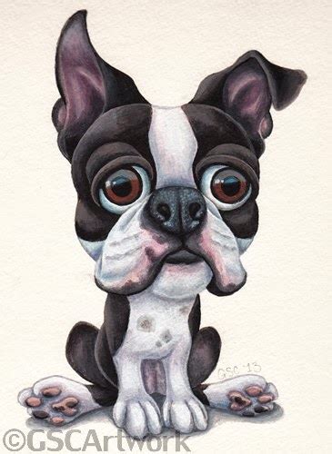 Cartoon Boston Terrier A Cartoon Of A Boston Terrier`s Face Stock