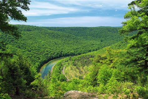 images water nature forest grass hill river valley stream