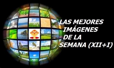 sciencuriosities las mejores imagenes de la semana xiii