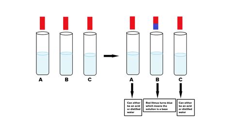 You Have Been Provided With Three Test Tubes One Of Them Contains